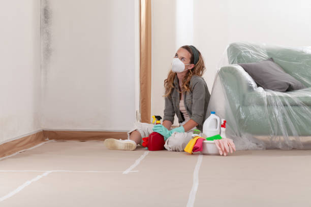 Reliable Mold Testing contractor in Evans, CO by WQB Mold Removal