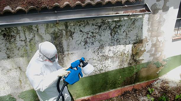 Top rated local Mold Testing specialists in Evans, CO
